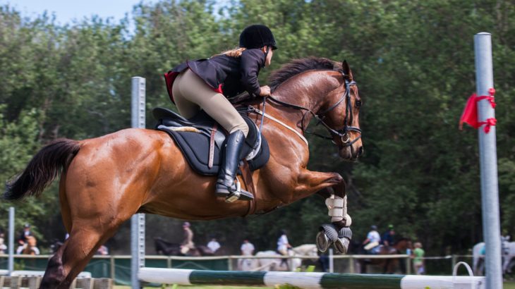 Les Aides Artificielles à Cheval | Blog On Vous Equipe