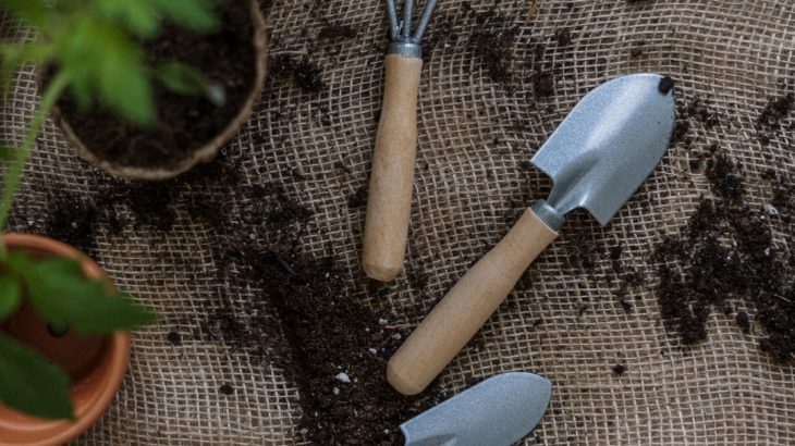 Meilleurs outils jardin