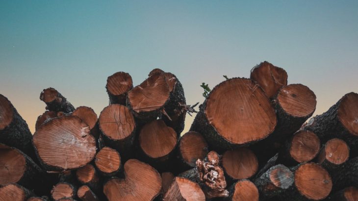 broyeur électrique et thermique, quelles différences ?