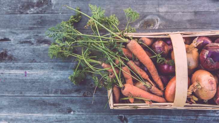 Récolte légumes oubliés