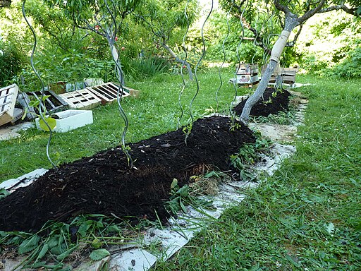 Permaculture